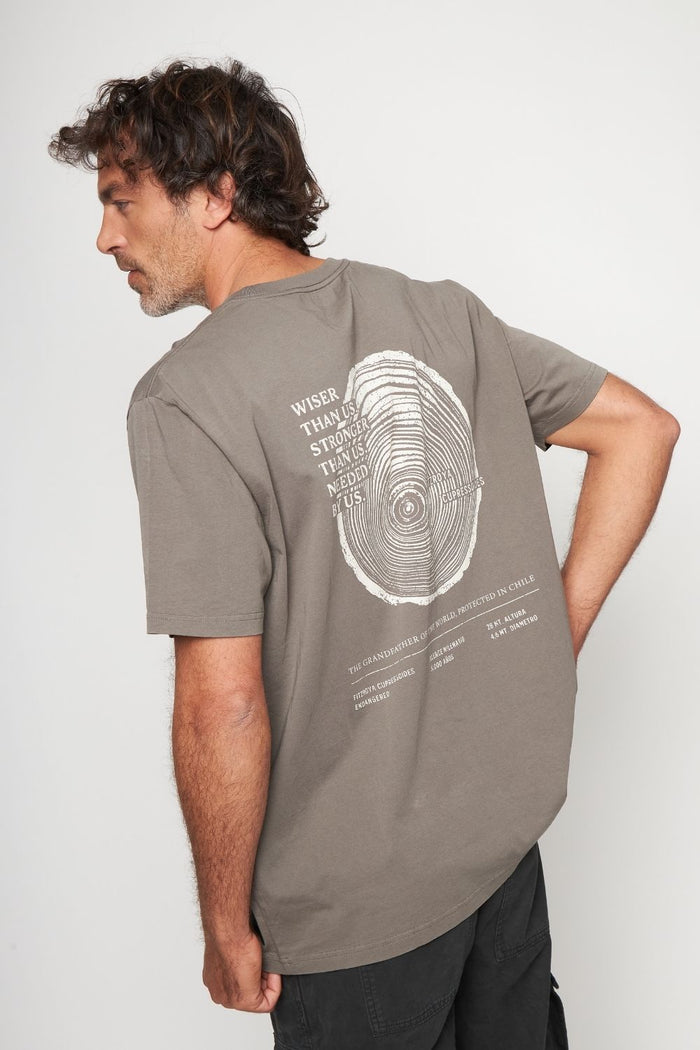 Polera Alerce Milenario Orgánica Café Hombre