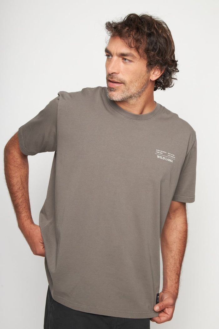 Polera Alerce Milenario Orgánica Café Hombre
