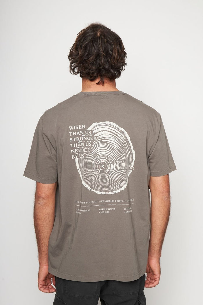 Polera Alerce Milenario Orgánica Café Hombre