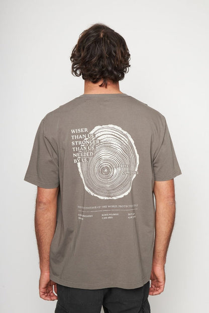Polera Alerce Milenario Orgánica Café Hombre