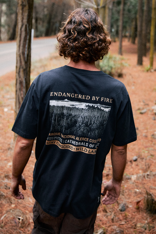 Polera Alerce Milenario Orgánica Negra Hombre