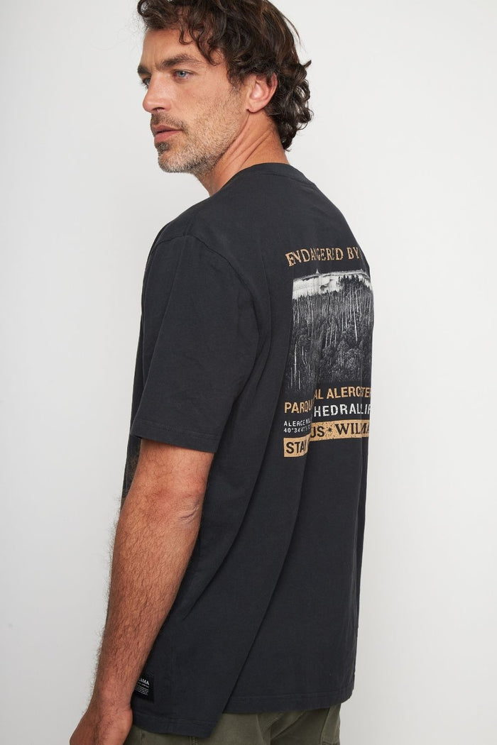 Polera Alerce Milenario Orgánica Negra Hombre