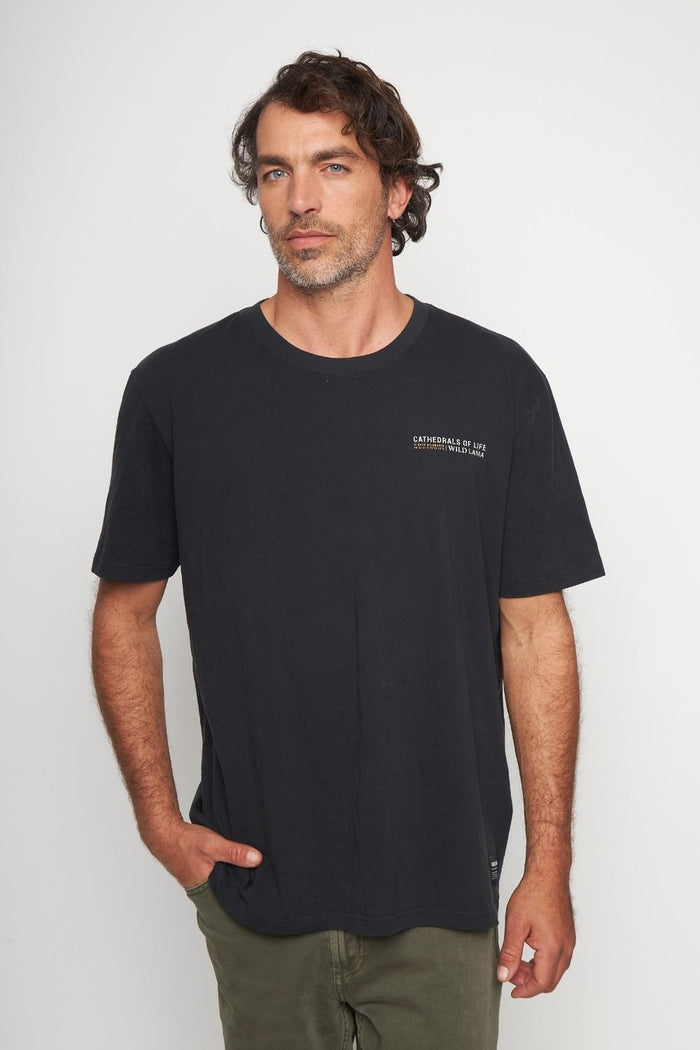 Polera Alerce Milenario Orgánica Negra Hombre