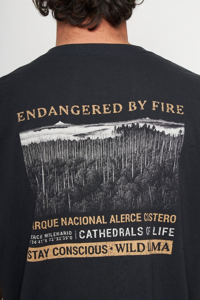Polera Alerce Milenario Orgánica Negra Hombre