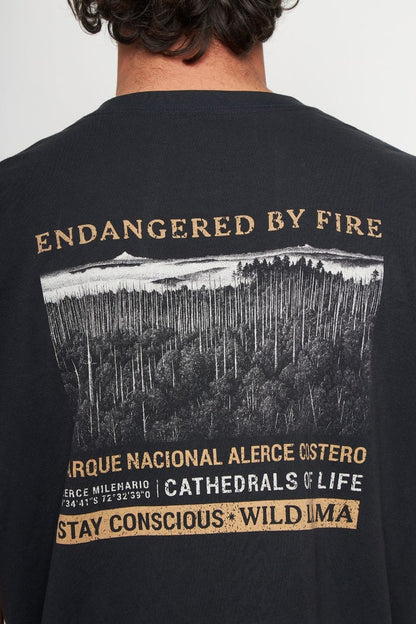 Polera Alerce Milenario Orgánica Negra Hombre