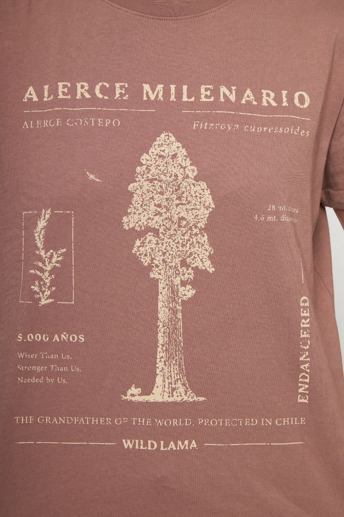 Polera Alerce Milenario Orgánica Rosada Mujer