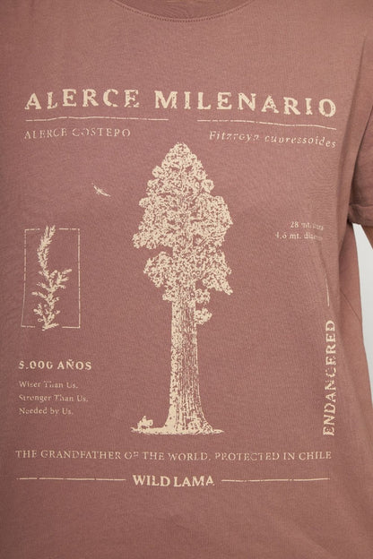 Polera Alerce Milenario Orgánica Rosada Mujer