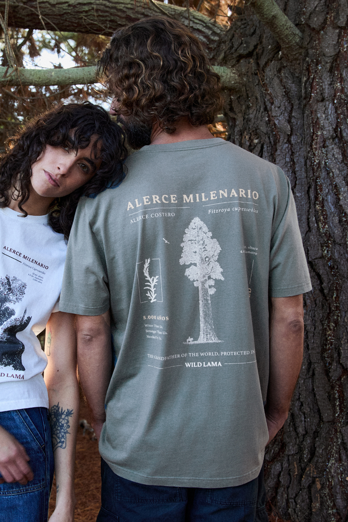 Polera Alerce Milenario Orgánica Verde Hombre