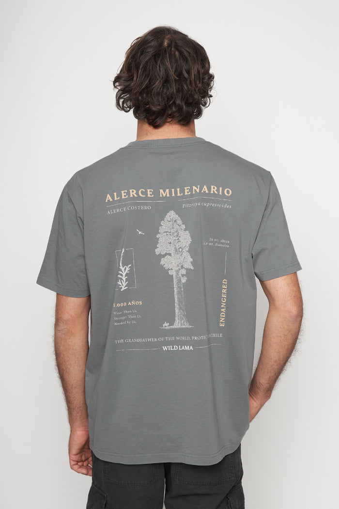 Polera Alerce Milenario Orgánica Verde Hombre