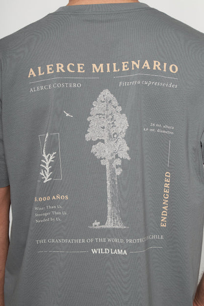 Polera Alerce Milenario Orgánica Verde Hombre