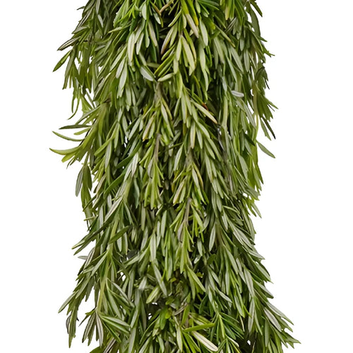 Rosemary Greens Garland