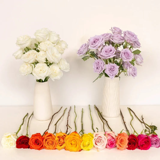 Roses For Mother's Day Close Up - Image