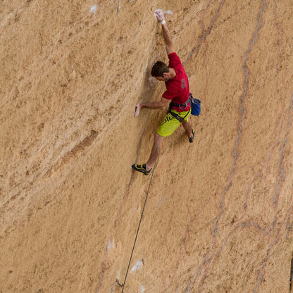 Comp harness in action