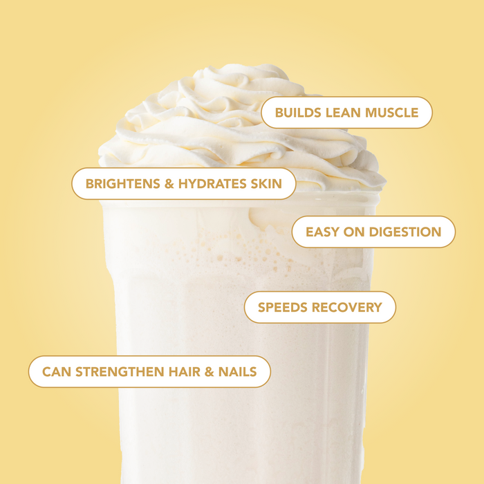 Sam's Club Exclusive Protein Powder + Collagen: Simply Vanilla (30 Serving Bag)