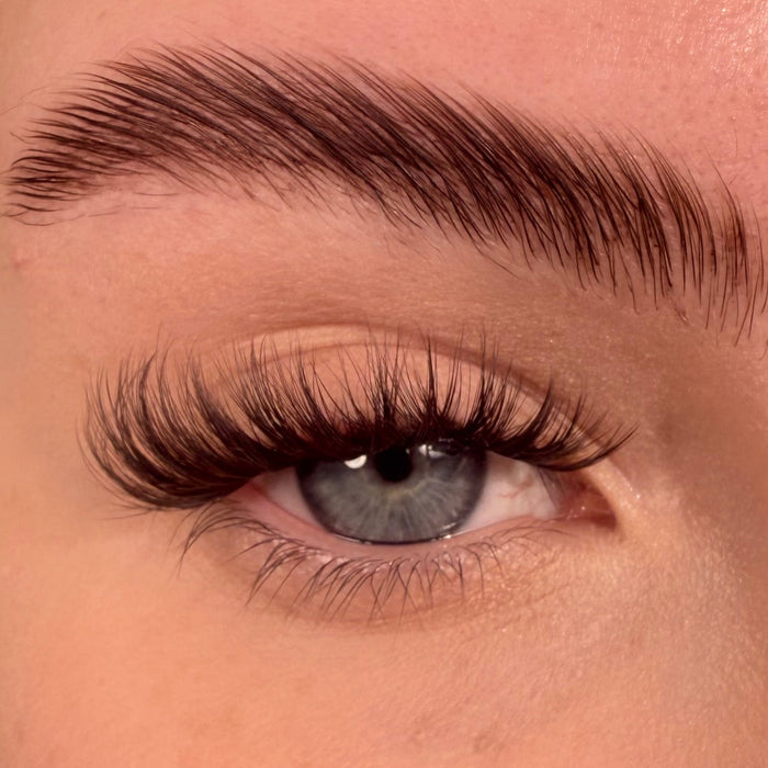 S.T.F.U. in Cocoa Ganche Super Pre-Glued Lashes - Unicorn Cosmetics