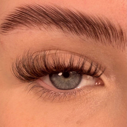 S.T.F.U. in Espresso Swirl Super Pre-Glued Lashes - Unicorn Cosmetics