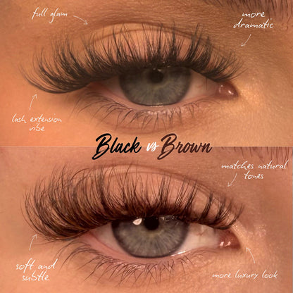 S.T.F.U. in Espresso Swirl Super Pre-Glued Lashes - Unicorn Cosmetics