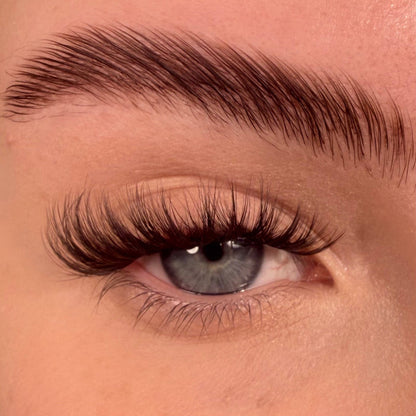 S.T.F.U. in Cocoa Ganche Super Pre-Glued Lashes - Unicorn Cosmetics