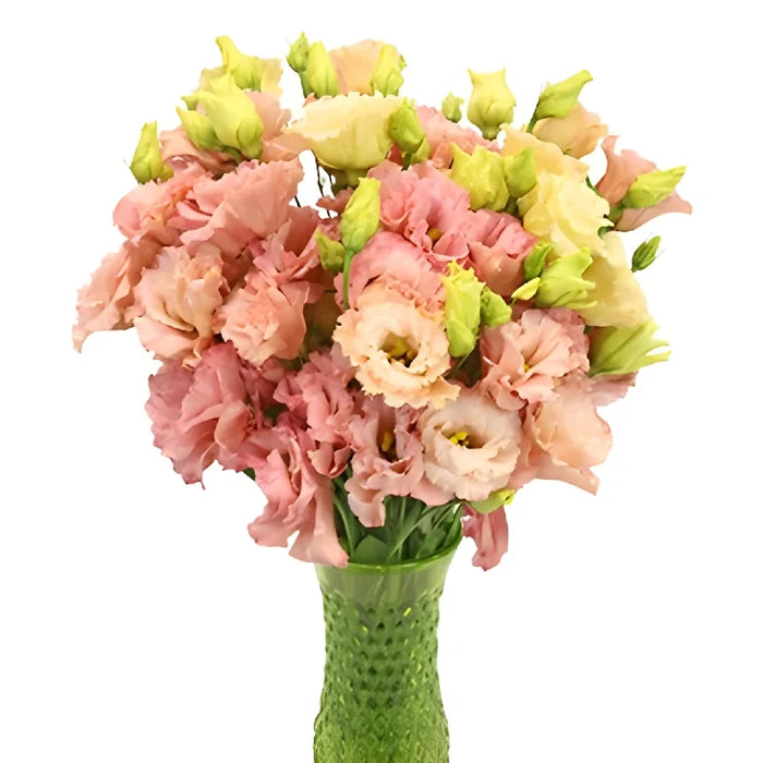 Strawberry Milkshake Lisianthus Flower Vase - Image