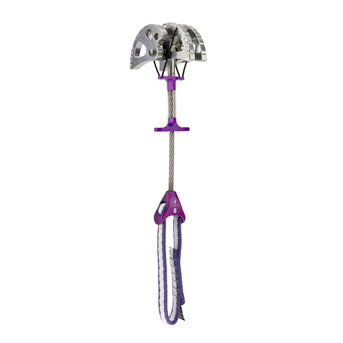 #8 Purple