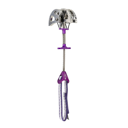 #8 Purple