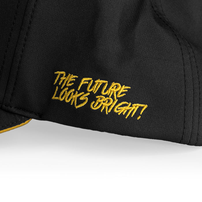 VT Lion Shield Logo Flex Fit Hat