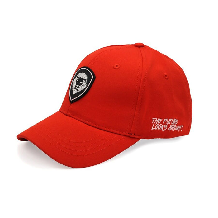 VT Lion Shield Logo Flex Fit