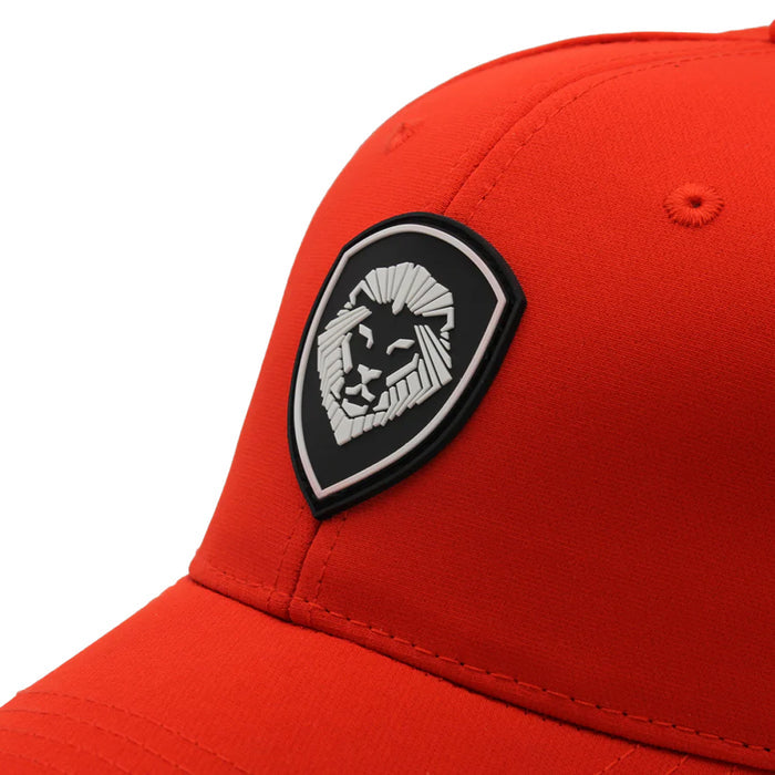 VT Lion Shield Logo Flex Fit