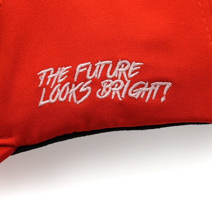 VT Lion Shield Logo Flex Fit
