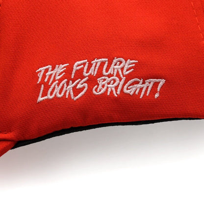 VT Lion Shield Logo Flex Fit