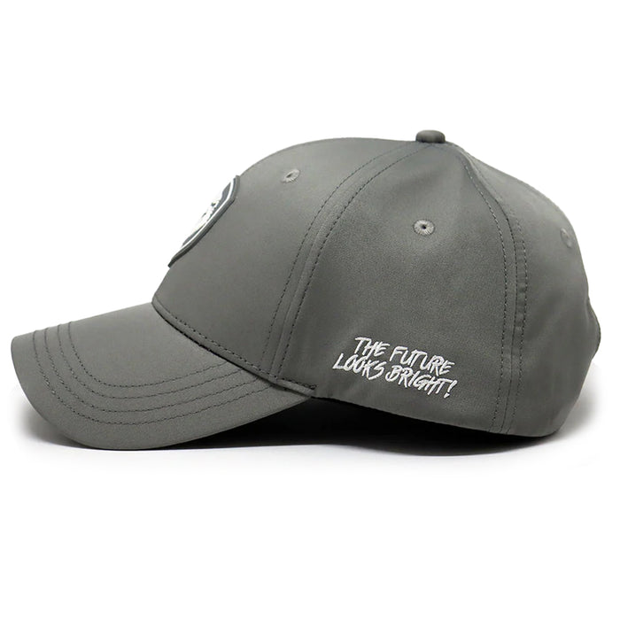 VT Lion Shield Logo Hat