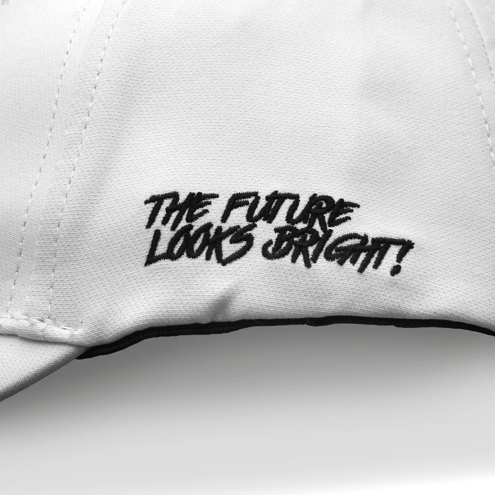 VT Lion Shield logo Hat