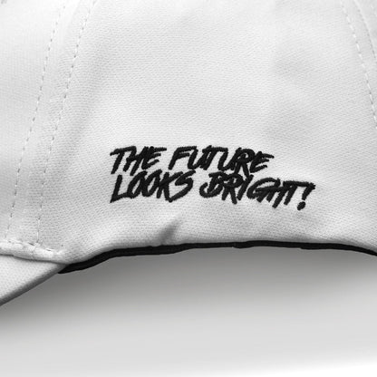 VT Lion Shield logo Hat