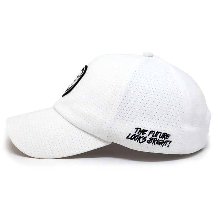 VT Lion Shield Performance Hat