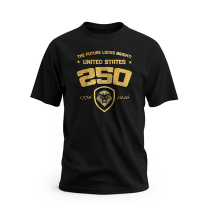 VT USA 250 Tee