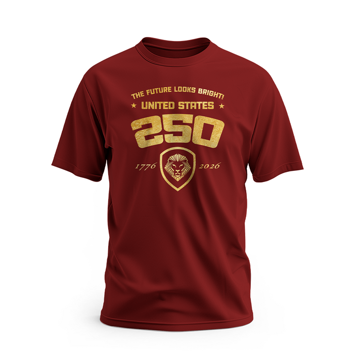 VT USA 250 Tee