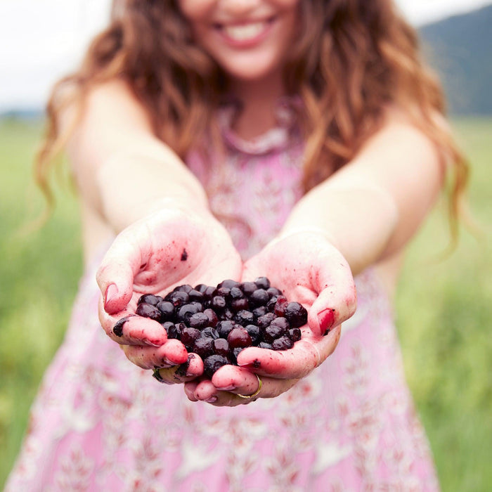 alpynbeautyhuckleberrypeel5-The Detox Market - Canada